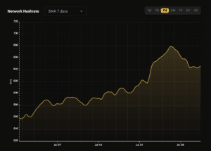 Bitcoin’s hashrate reached an all-time excessive on July 26. (Luxor Technology’s Hashrate Index)